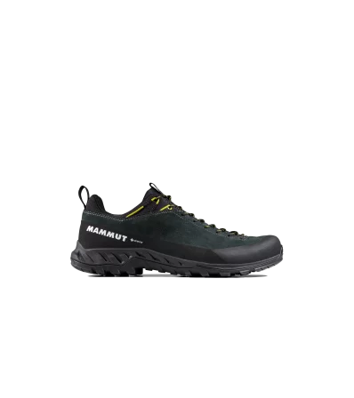 Mammut Alnasca IV Low LTH GTX Men