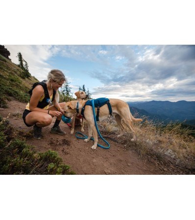 Нагръдник Ruffwear Switchbak Harness